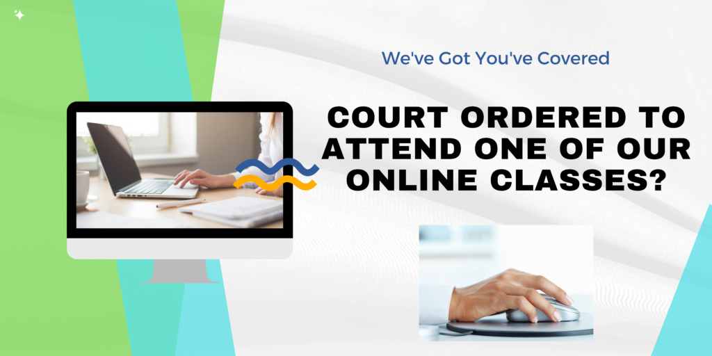 Court ordered to attend one of our online classes. 